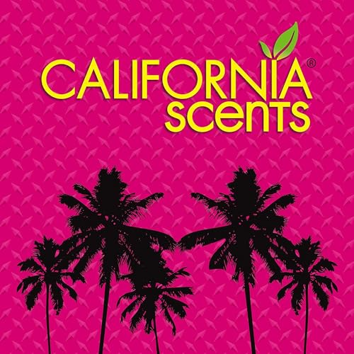 California Scents CCS-422TR New Car Air Freshener, 1 Stk