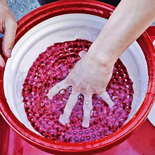 Chemical Guys Cyclone Dirt Trap Car Wash Bucket Insert, Red