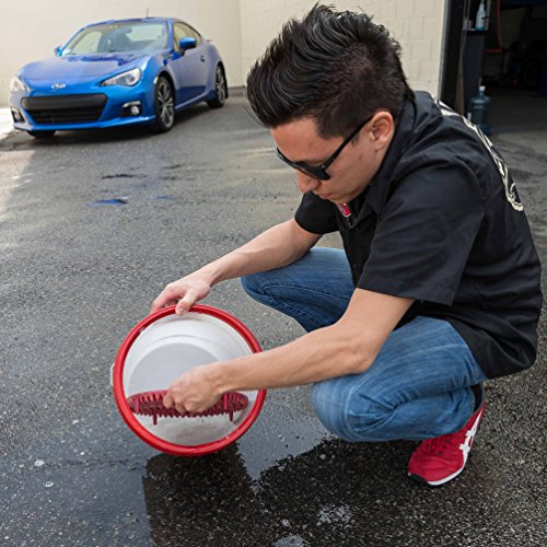 Chemical Guys Cyclone Dirt Trap Car Wash Bucket Insert, Red