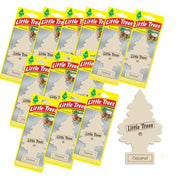 12Pk New Coconut Scent Little Trees Car Home Air Freshener